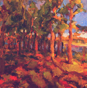 lincoln woods ri